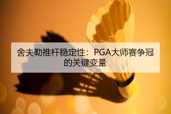 she-fu-lei-tui-gan-wen-ding-xing-da-shi-sai-zheng-guan-de-guan-jian-bian-liang-2-421.jpg