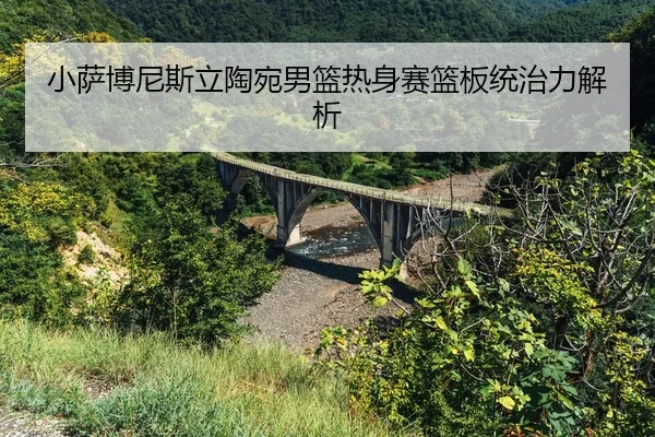 xiao-sa-bo-ni-si-li-tao-wan-nan-lan-re-shen-sai-lan-ban-tong-zhi-li-jie-xi-2-729.jpg