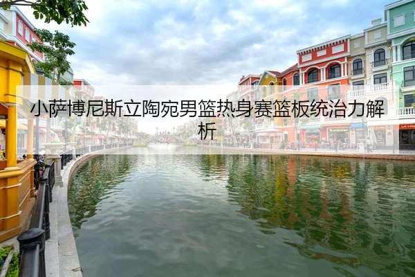 小萨博尼斯立陶宛男篮热身赛篮板统治力解析