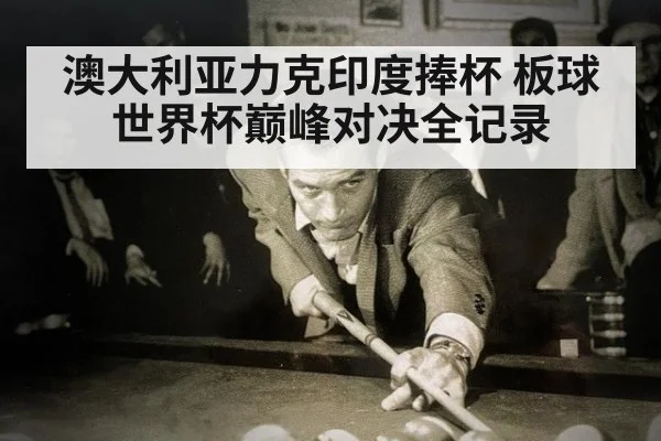 澳大利亚力克印度捧杯 板球世界杯巅峰对决全记录