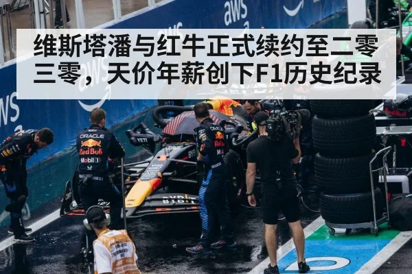 Red Bull F1 team